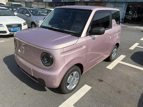 Galaxy 熊猫 2023款 200km 熊猫mini 耐力熊
